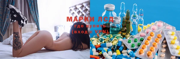 крисы Абаза