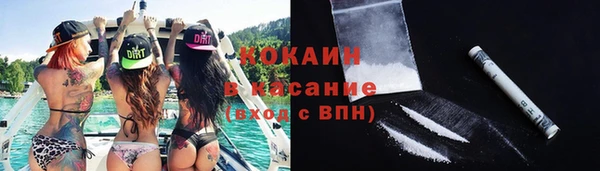 соль ск Алзамай