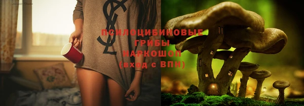 крисы Абаза
