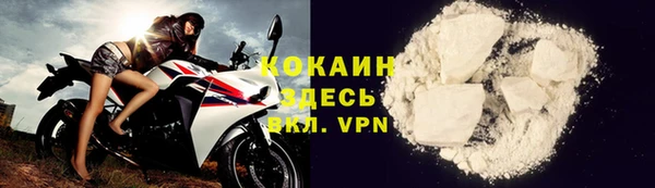 крисы Абаза