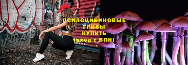крисы Абаза