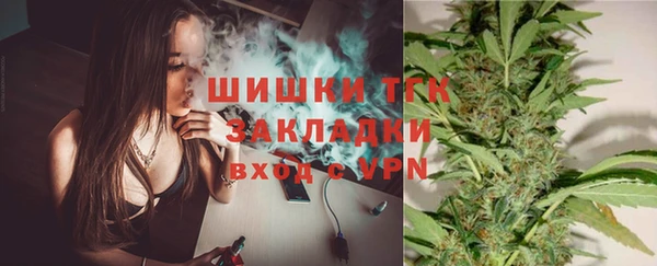 гашик Алексин