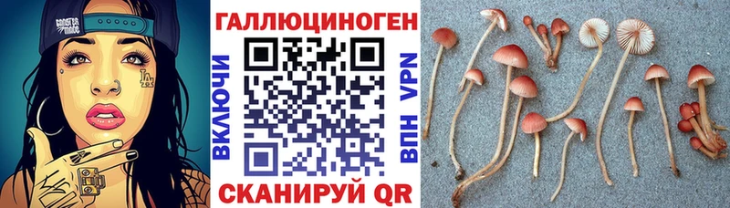 купить   Стерлитамак  ОМГ ОМГ онион  Галлюциногенные грибы ЛСД 